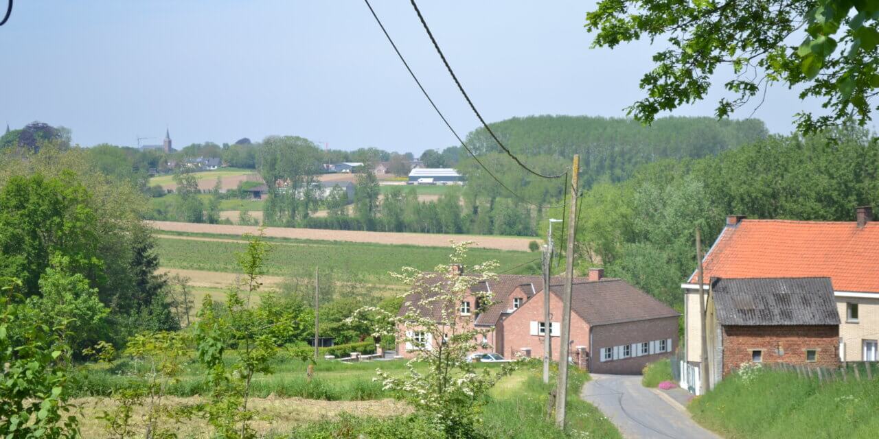 Wandelen over de Getuigenheuvels in de Vlaamse Ardennen.