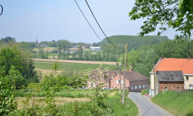 Wandelen over de Getuigenheuvels in de Vlaamse Ardennen.