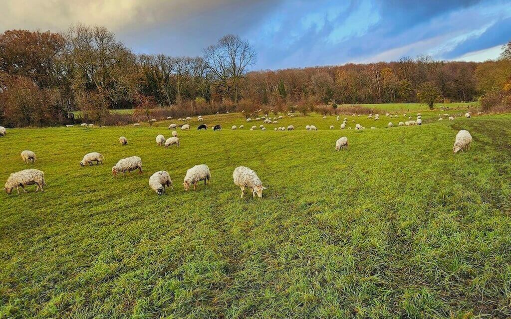 Op verkenning in natuurgebied Altenbroek.