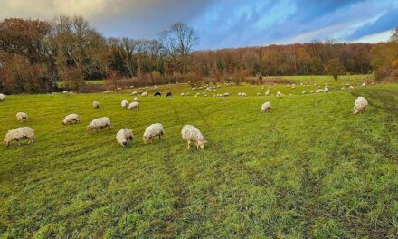 Op verkenning in natuurgebied Altenbroek.